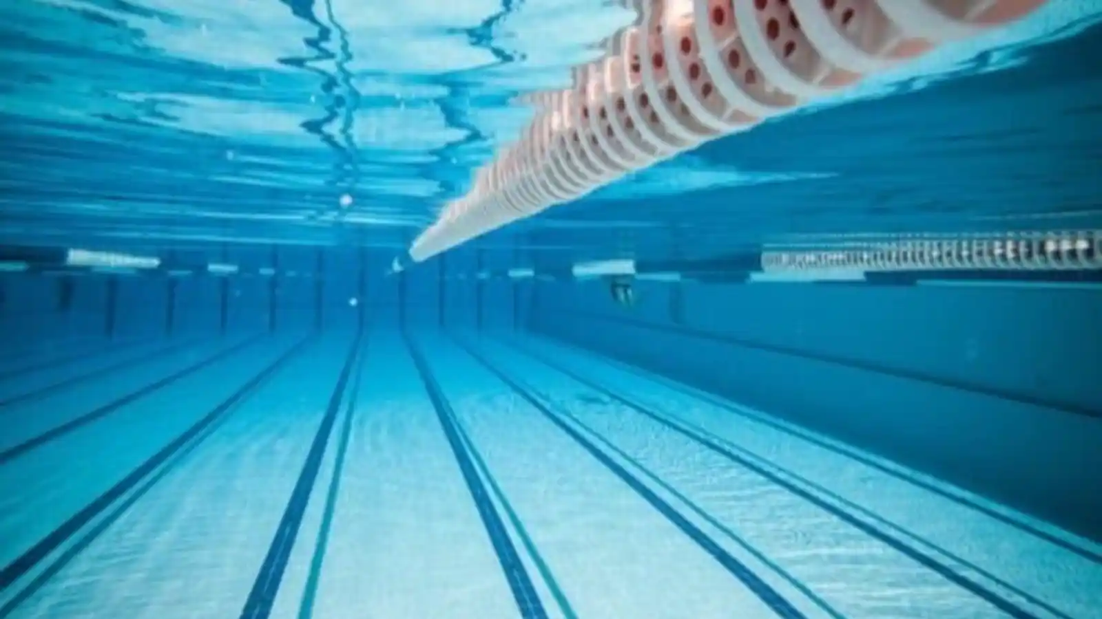 Birla-Navya-pool
